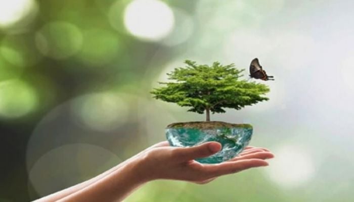 World Environment Day today