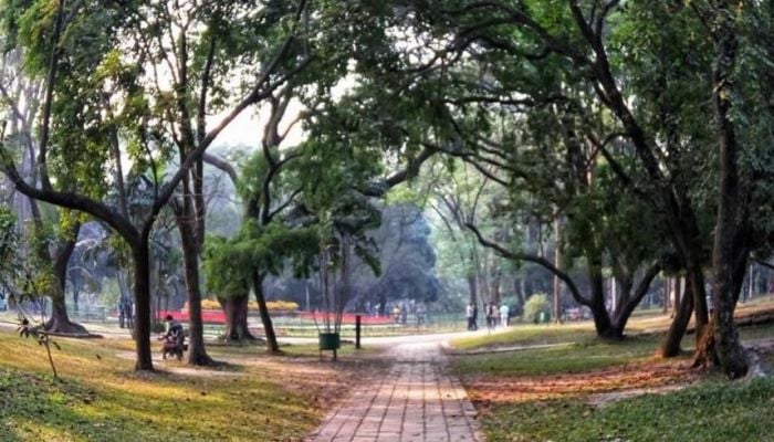 Govt plans to build 101 parks in country: Zakaria Taher