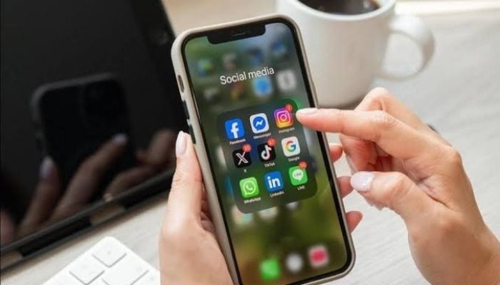 EU to limit children's access to social media -- gradually