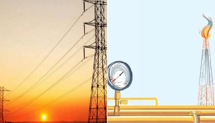 Electricity, gas crisis will take at least 2 years to resolve: Finance Minister