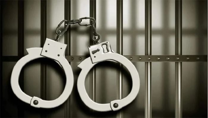 515 arrested, firearms seized in 24hrs across Dhaka