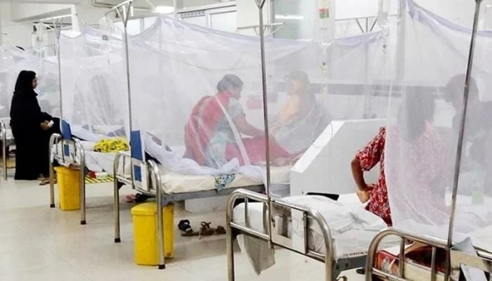 3 more die from dengue