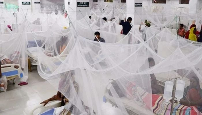 6 die of dengue in 24 hours