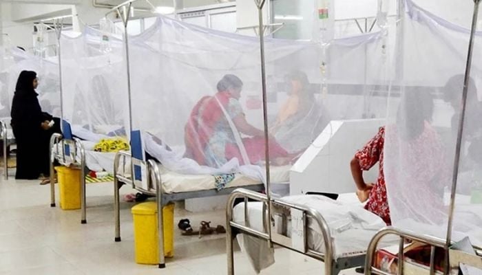 Six die of dengue, 1,561 hospitalised in 24 hours