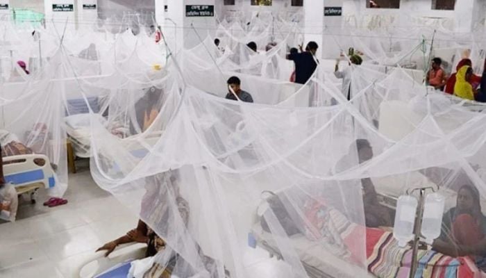 Dengue claims six lives in 24 hrs
