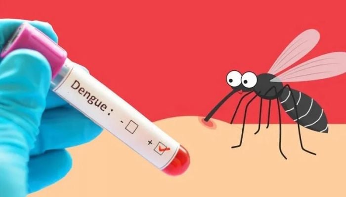 Two dengue deaths; 955 more admitted to hospital in 24 hrs